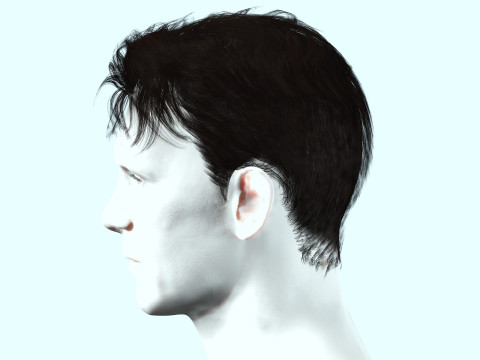 Realistic Male Hair 3D Model