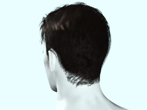 Realistic Male Hair 3D Model