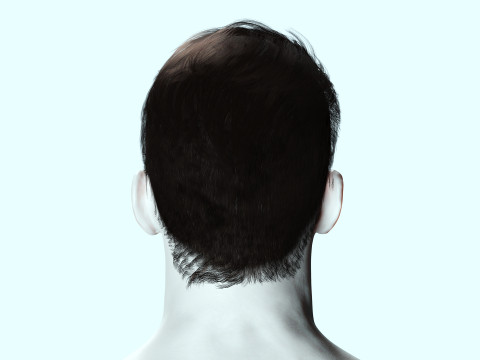 Realistic Male Hair 3D Model