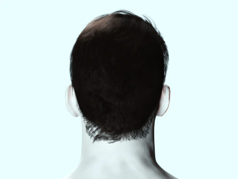 Realistic Male Hair 3D Model