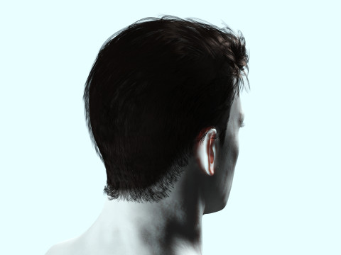 Realistic Male Hair 3D Model