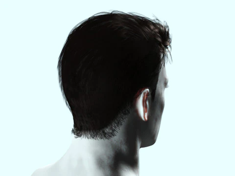 Realistic Male Hair 3D Model
