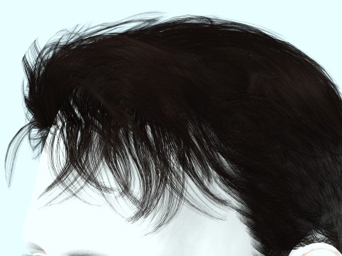 Realistic Male Hair 3D Model