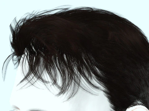Realistic Male Hair 3D Model