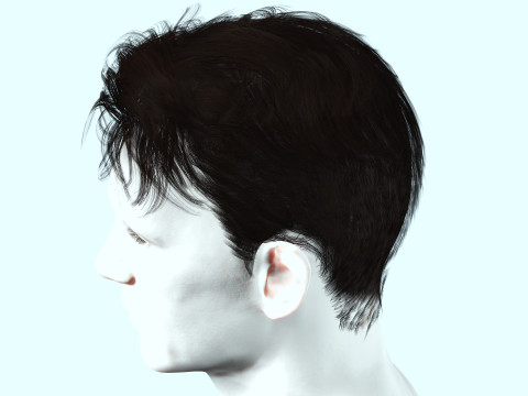 Realistic Male Hair 3D Model