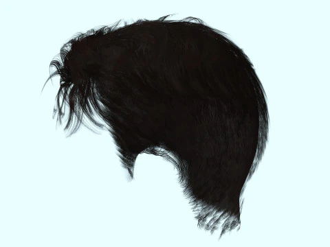 Realistic Male Hair 3D Model