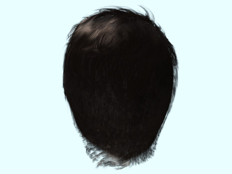 Realistic Male Hair 3D Model