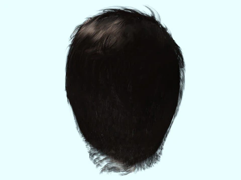 Realistic Male Hair 3D Model