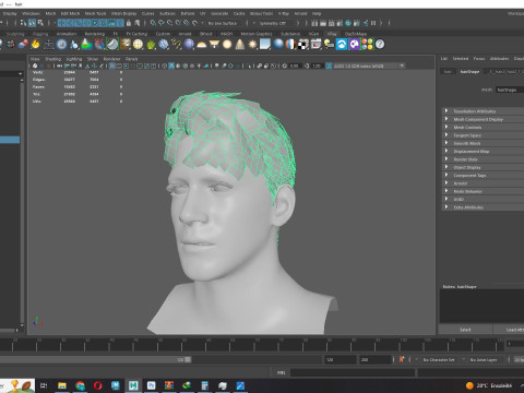 Realistic Male Hair 3D Model