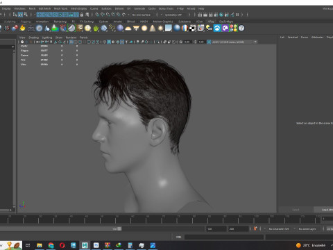 Realistic Male Hair 3D Model