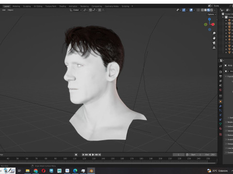 Realistic Male Hair 3D Model