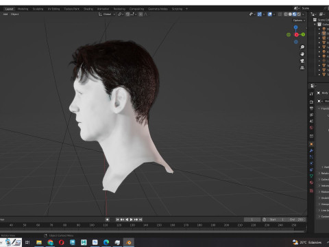 Realistic Male Hair 3D Model