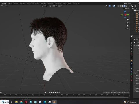 Realistic Male Hair 3D Model