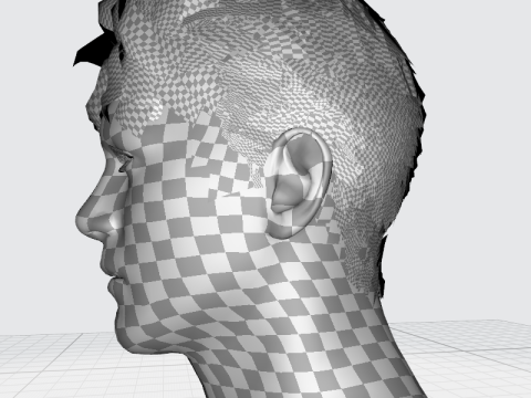 Realistic Male Hair 3D Model