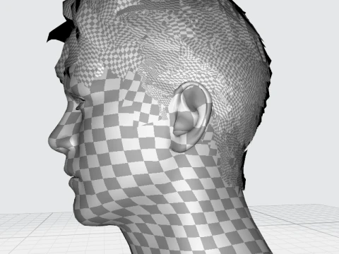Realistic Male Hair 3D Model