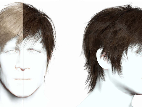 Realistic Male Hair Low-poly 3D 模型