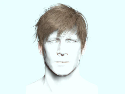 Realistic Male Hair Low-poly 3D Model