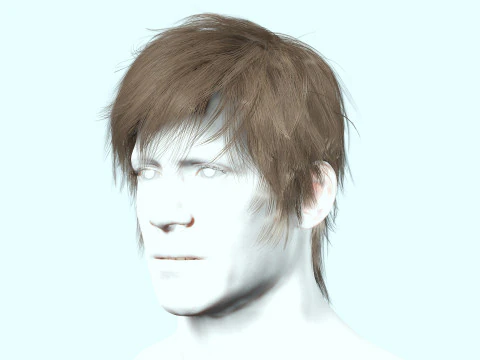 Realistic Male Hair Low-poly 3D Model