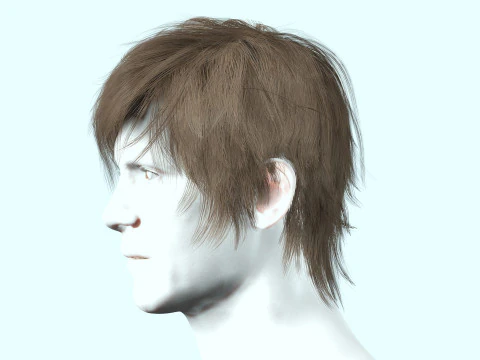 Realistic Male Hair Low-poly 3D Model