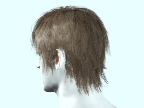 Realistic Male Hair Low-poly Modelo 3D