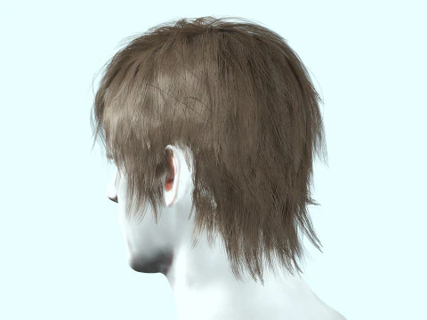 Realistic Male Hair Low-poly 3D Model