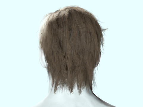 Realistic Male Hair Low-poly Modelo 3D