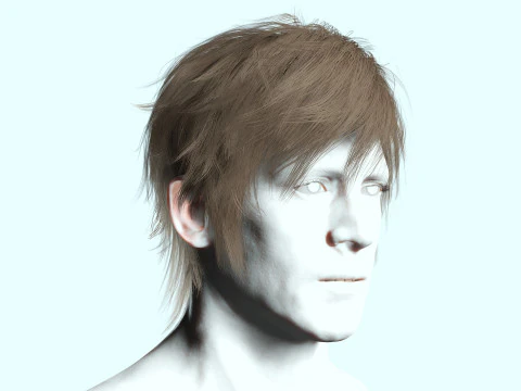 Realistic Male Hair Low-poly 3D Model