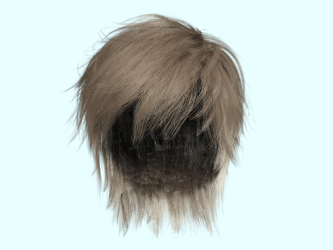 Realistic Male Hair Low-poly Modelo 3D