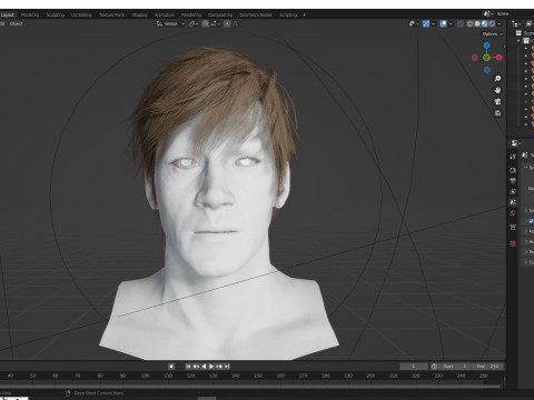 Realistic Male Hair Low-poly Modelo 3D