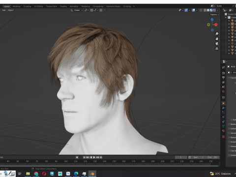 Realistic Male Hair Low-poly Modelo 3D