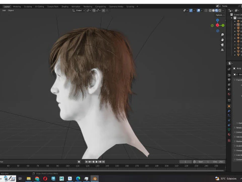 Realistic Male Hair Low-poly 3D Model