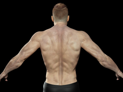 Realistic Man Modular G1 3D 모델