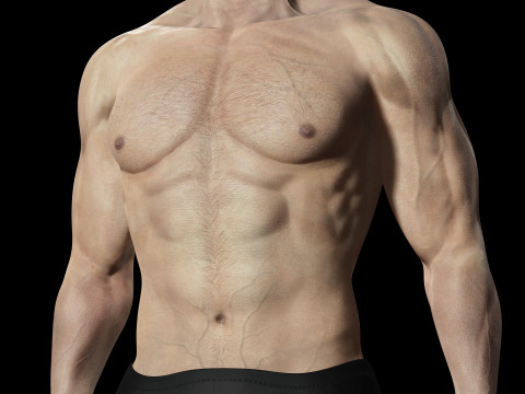 Realistic Man Modular G1 3D 모델