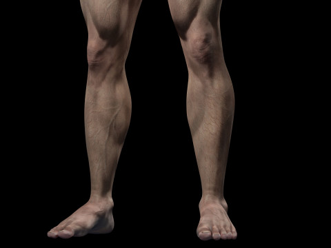 Realistic Man Modular G1 3D 모델