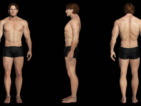 Free Male Body-low poly Free 3D Model