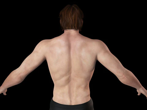 Free Male Body-low poly Free 3D Model