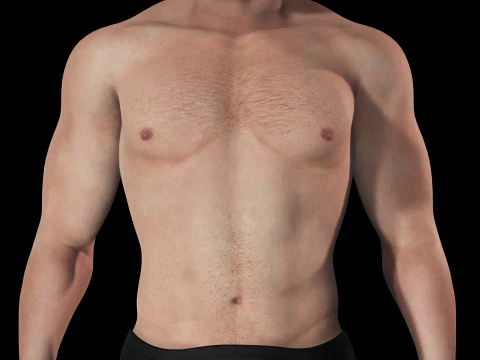 Free Male Body-low poly Free 3D Model
