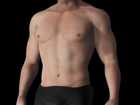 Free Male Body-low poly Free 3Dモデル