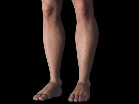 Free Male Body-low poly Free 3Dモデル