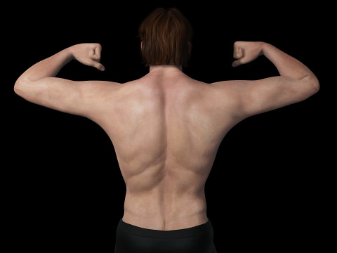 Free Male Body-low poly Free 3Dモデル