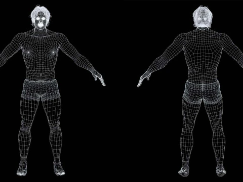 Free Male Body-low poly Free 3D Model