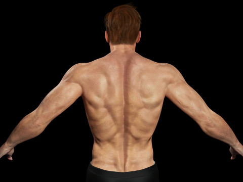 Male body G1 Model 3D