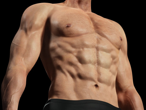 Male body G1 Model 3D