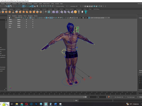 Male body G1 Model 3D