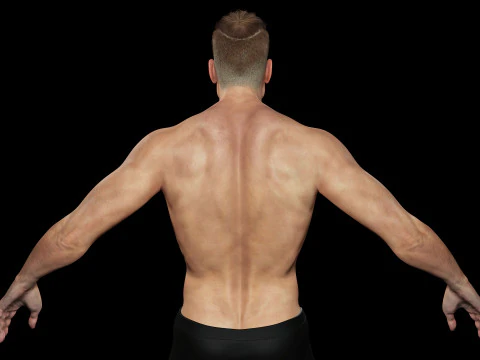 Model Basic Man G1 3D Model