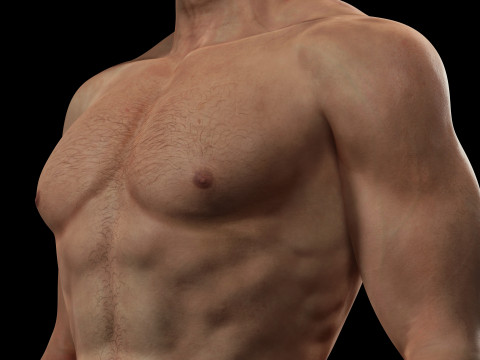 Model Basic Man G1 3Dモデル