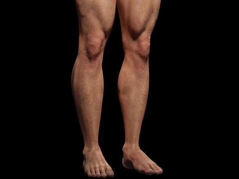 Model Basic Man G1 3D Model