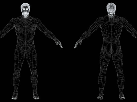 Realistic Man livelink 3Dモデル