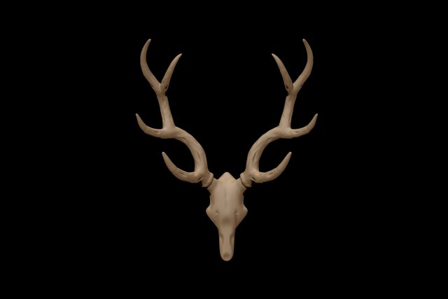antler 3D Модель .c4d .max .obj .3ds .fbx .stl .blend 