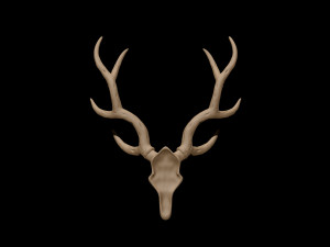antler 3D Модель